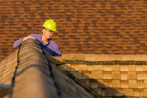 Roof Gutter Cleaning in Higginsville, MO